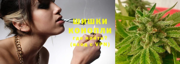 трава Алзамай