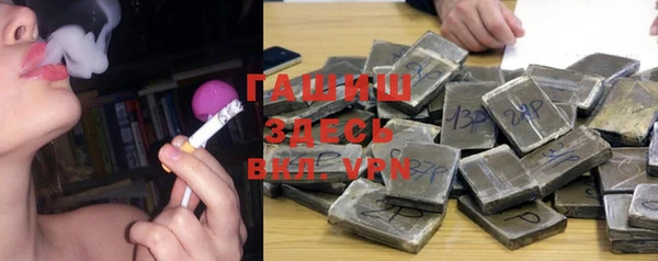 гидра Алексеевка