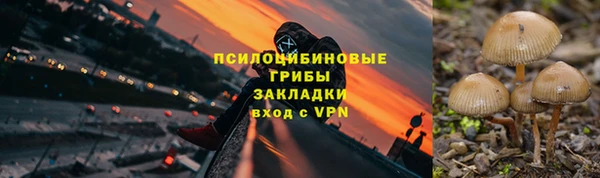 трава Алзамай