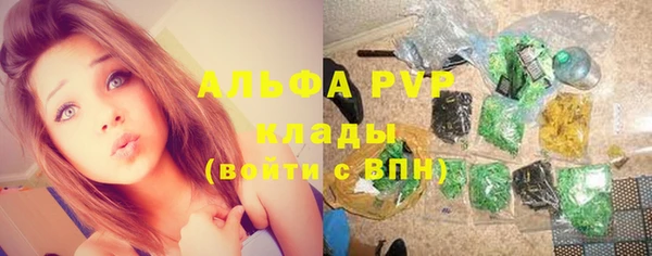 гидра Алексеевка